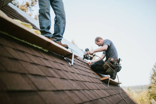 Best Storm Damage Roof Repair  in Brownsville, OR